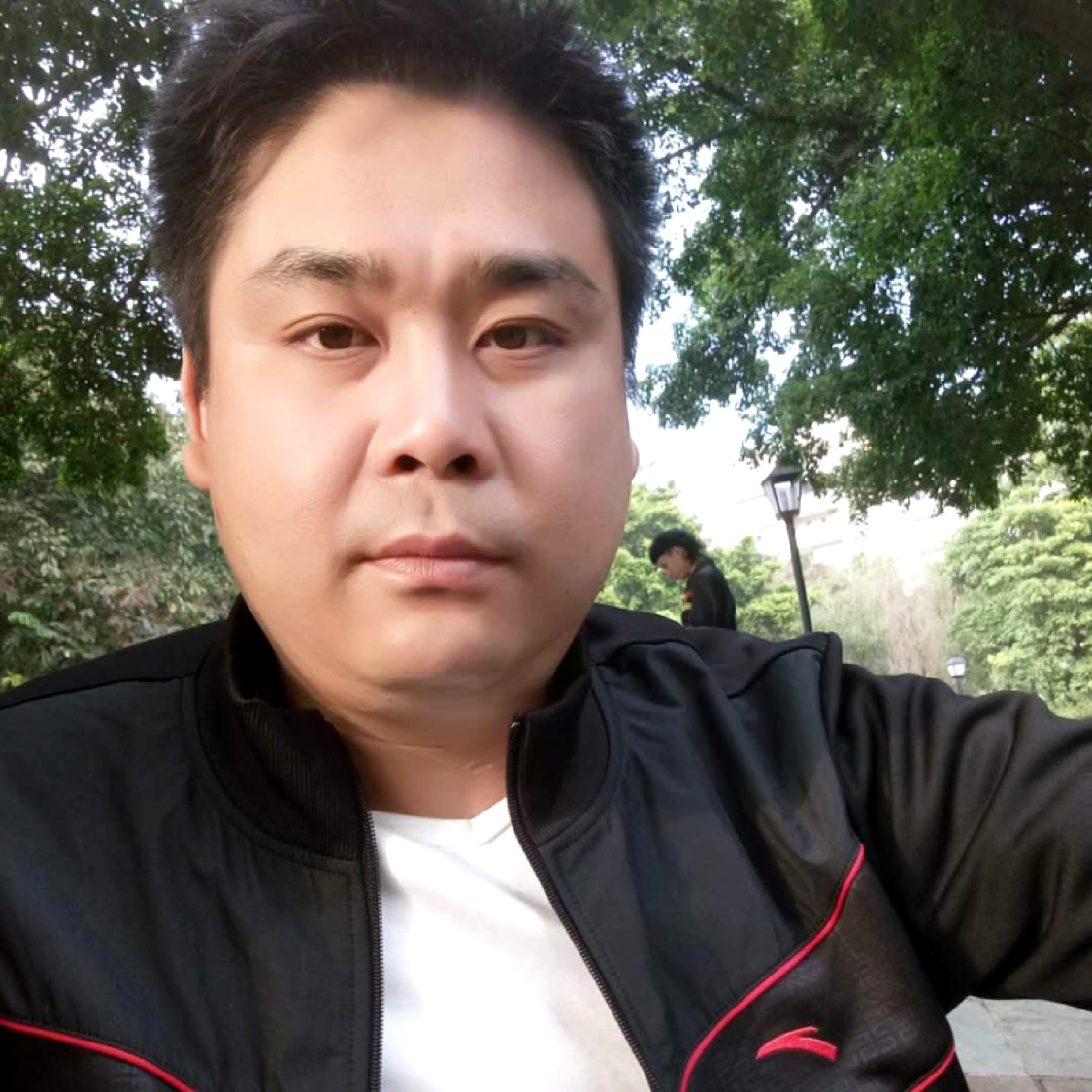 枫叶的照片