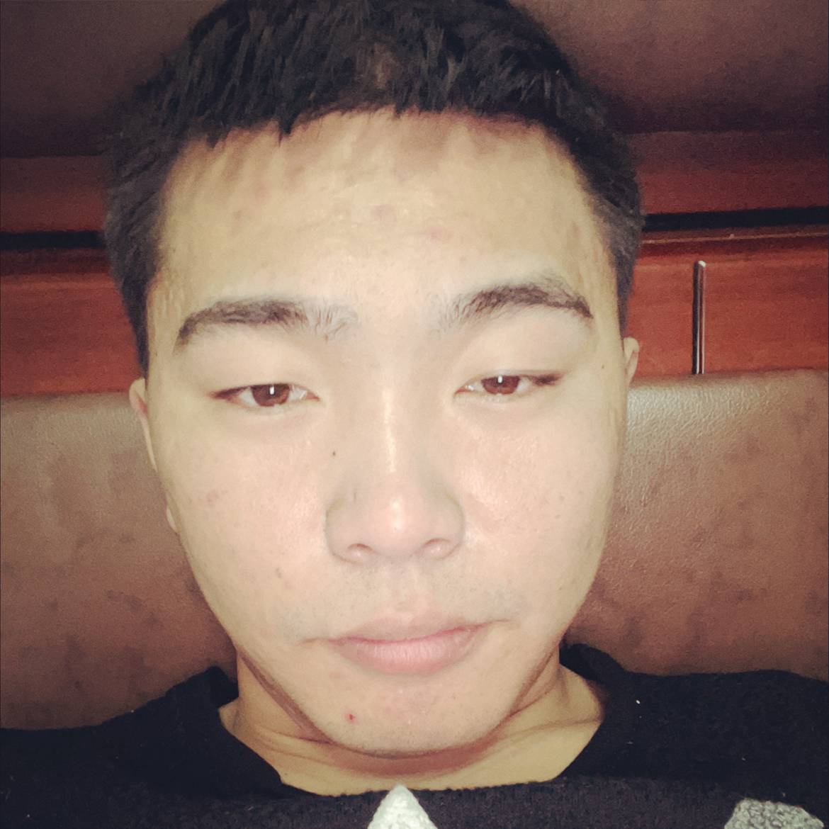 机灵愿猫咪的照片