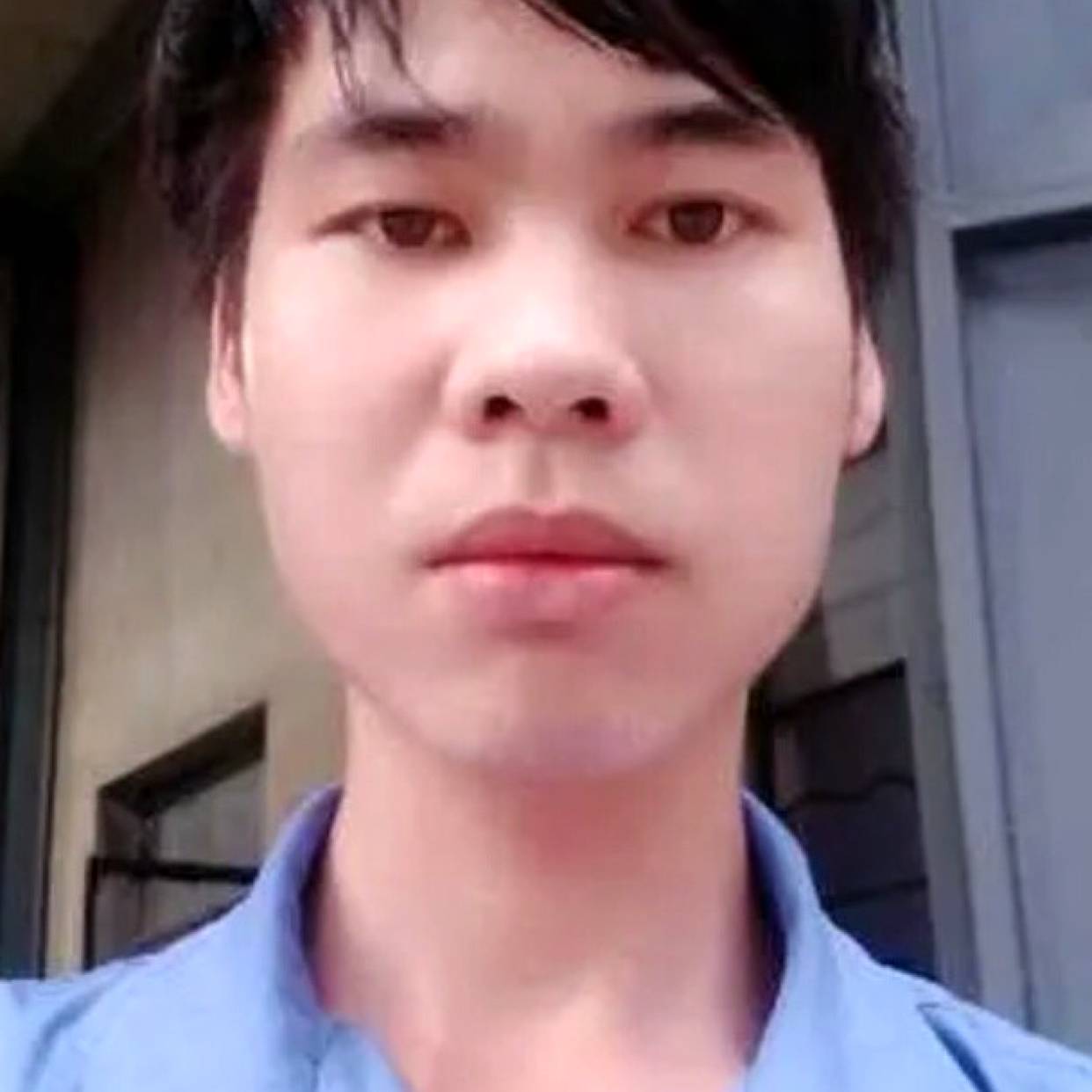 小鸽子蹁跹受伤的照片