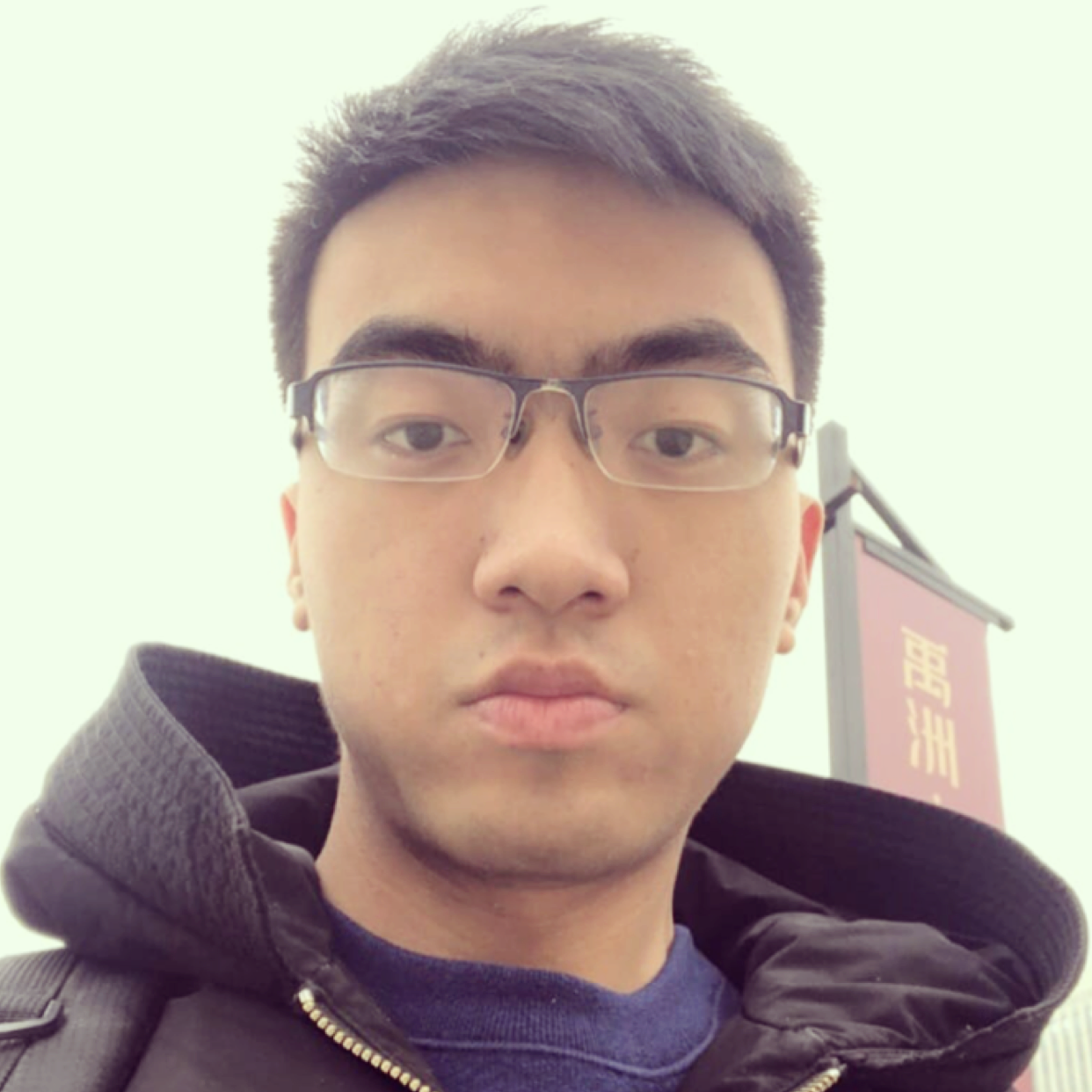 迷茫演变小蚂蚁的照片