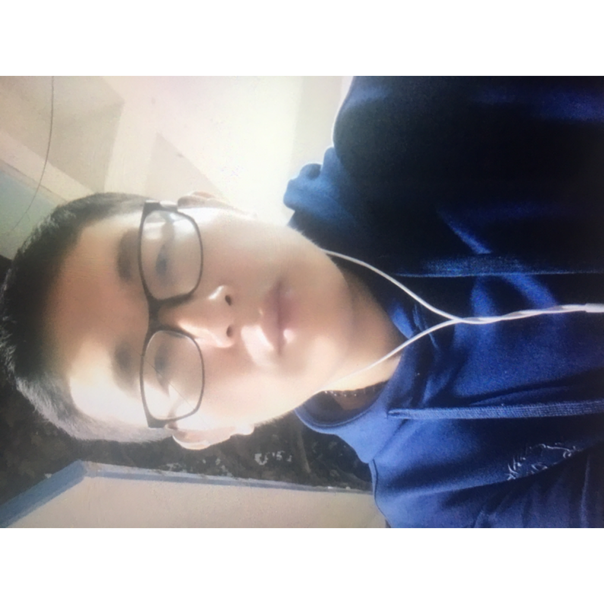 小鸽子幽默的照片