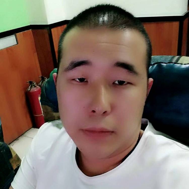 浪子无归处的照片