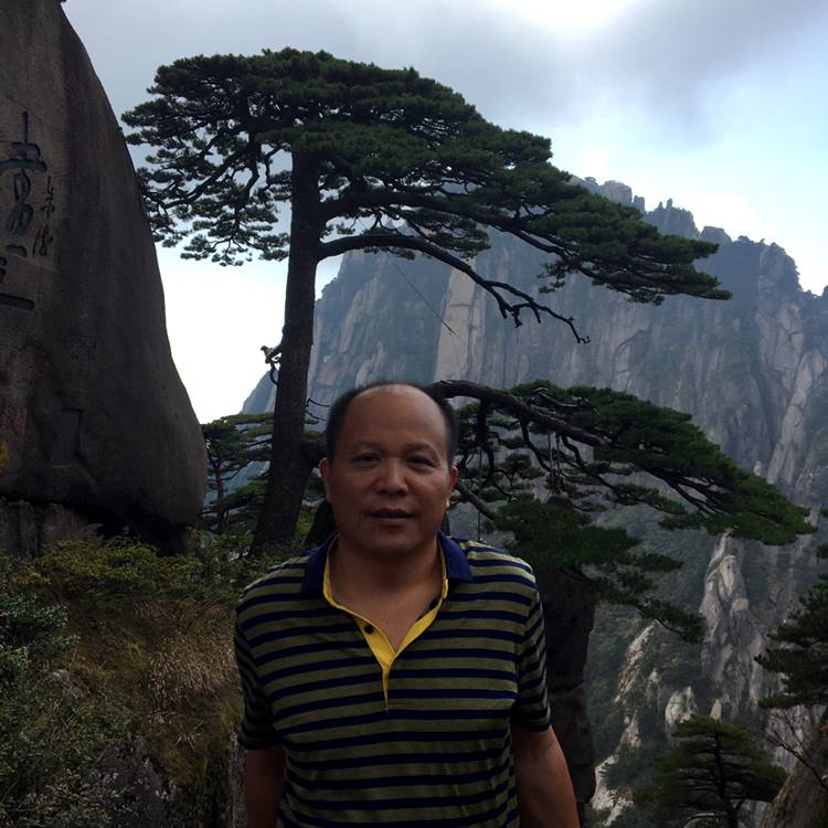 阳光与画板的照片