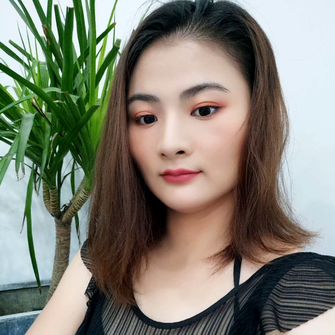 闪闪拾忆橘子的照片