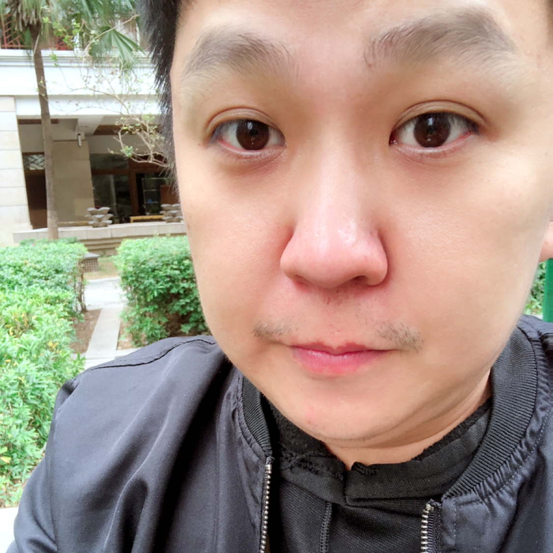 巴比伦的日子的照片