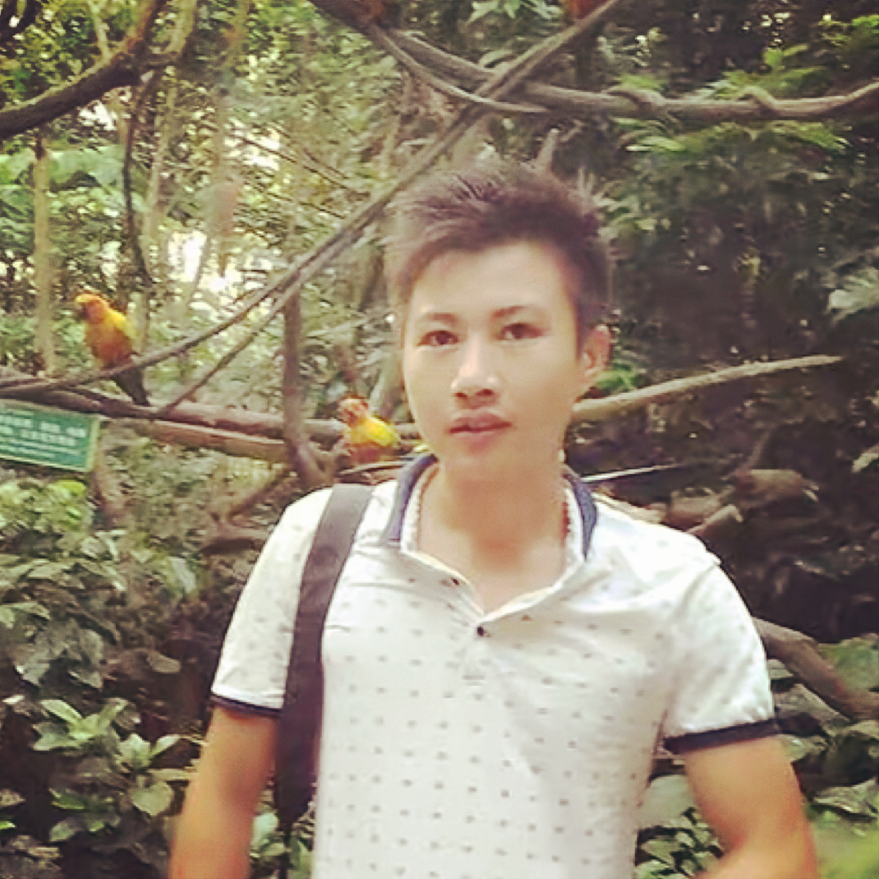 蚂蚁的俊秀的照片