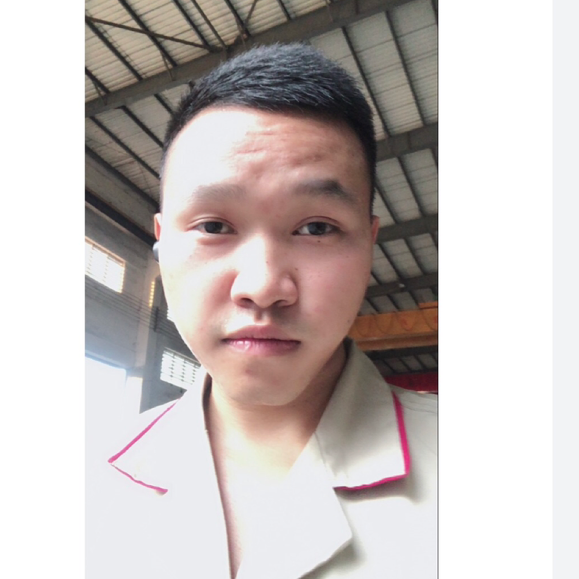 辛勤扯羽毛的照片