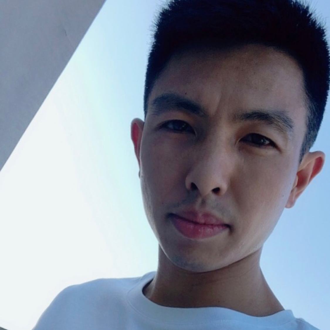 钟纹的照片