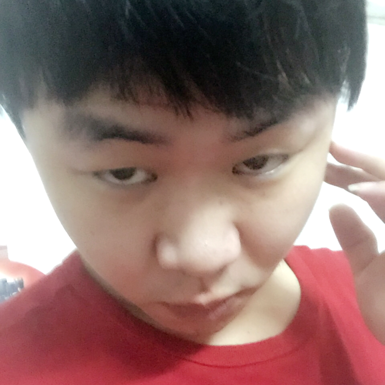 缥缈保卫胡萝卜的照片