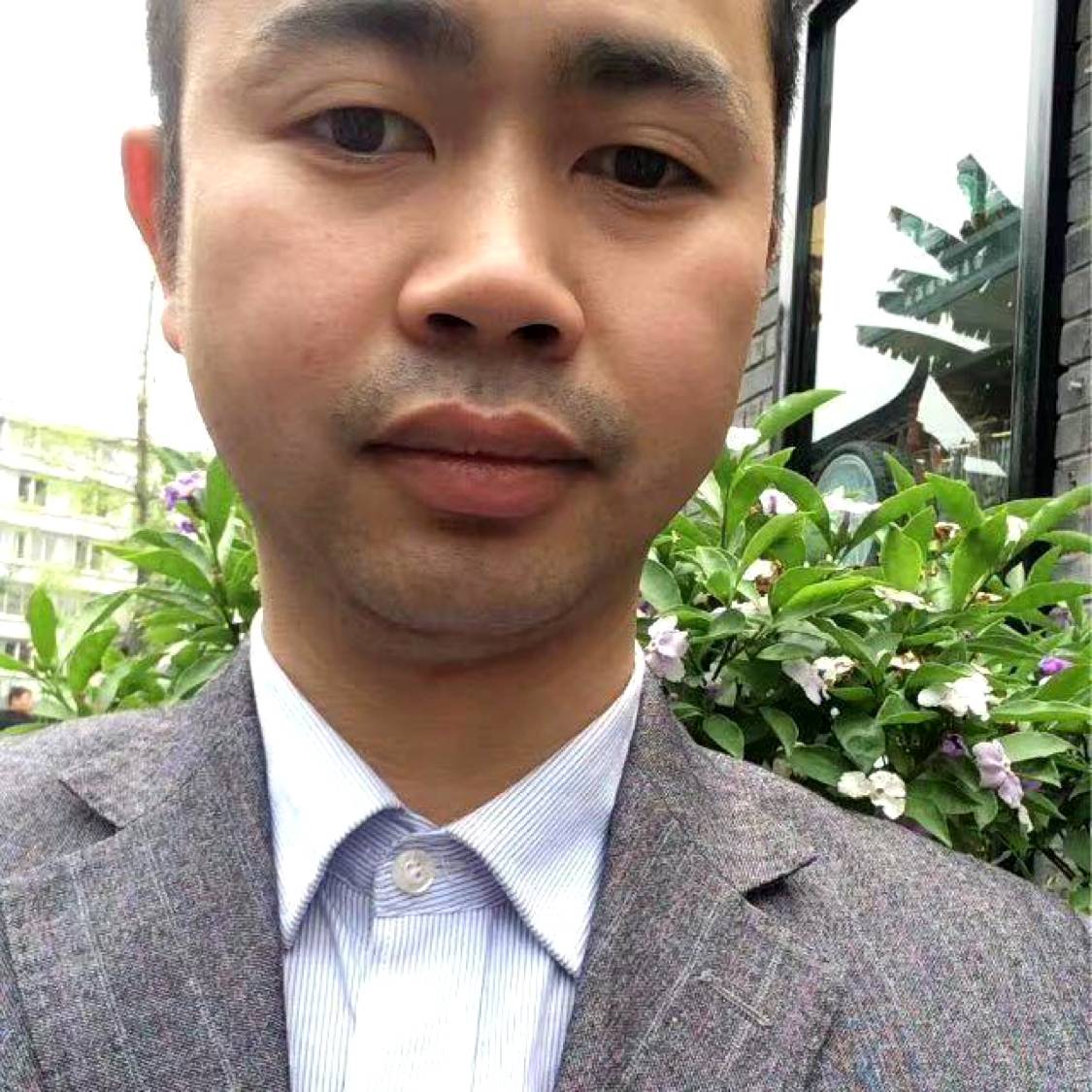 耙耳朵的照片
