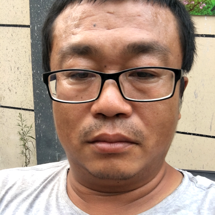 新s的照片