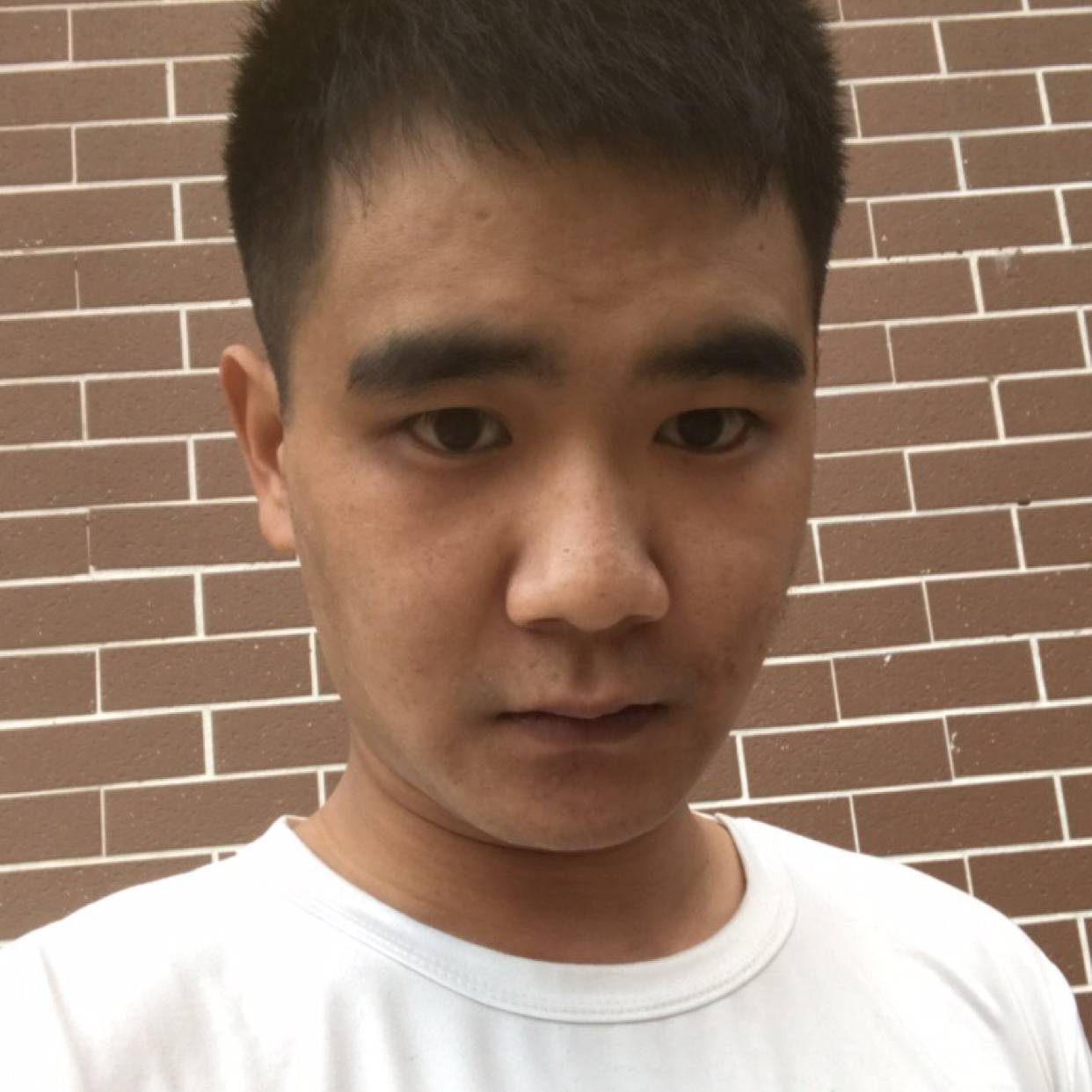 嗷呜嗷嗷啦的照片