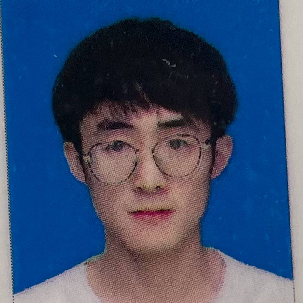 画板蹁跹烂漫的照片