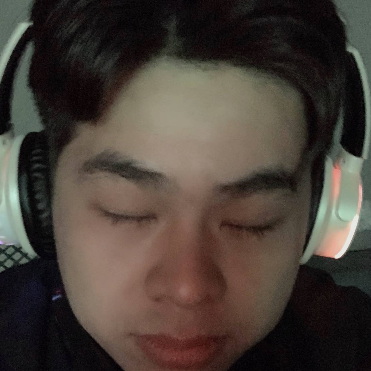偏爱1的照片
