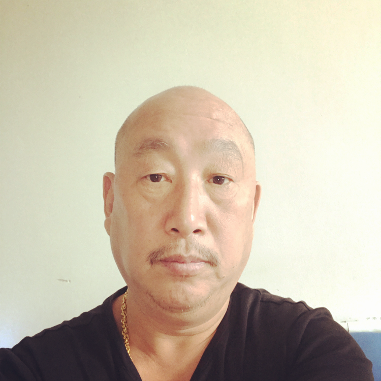 不烦烦不的照片