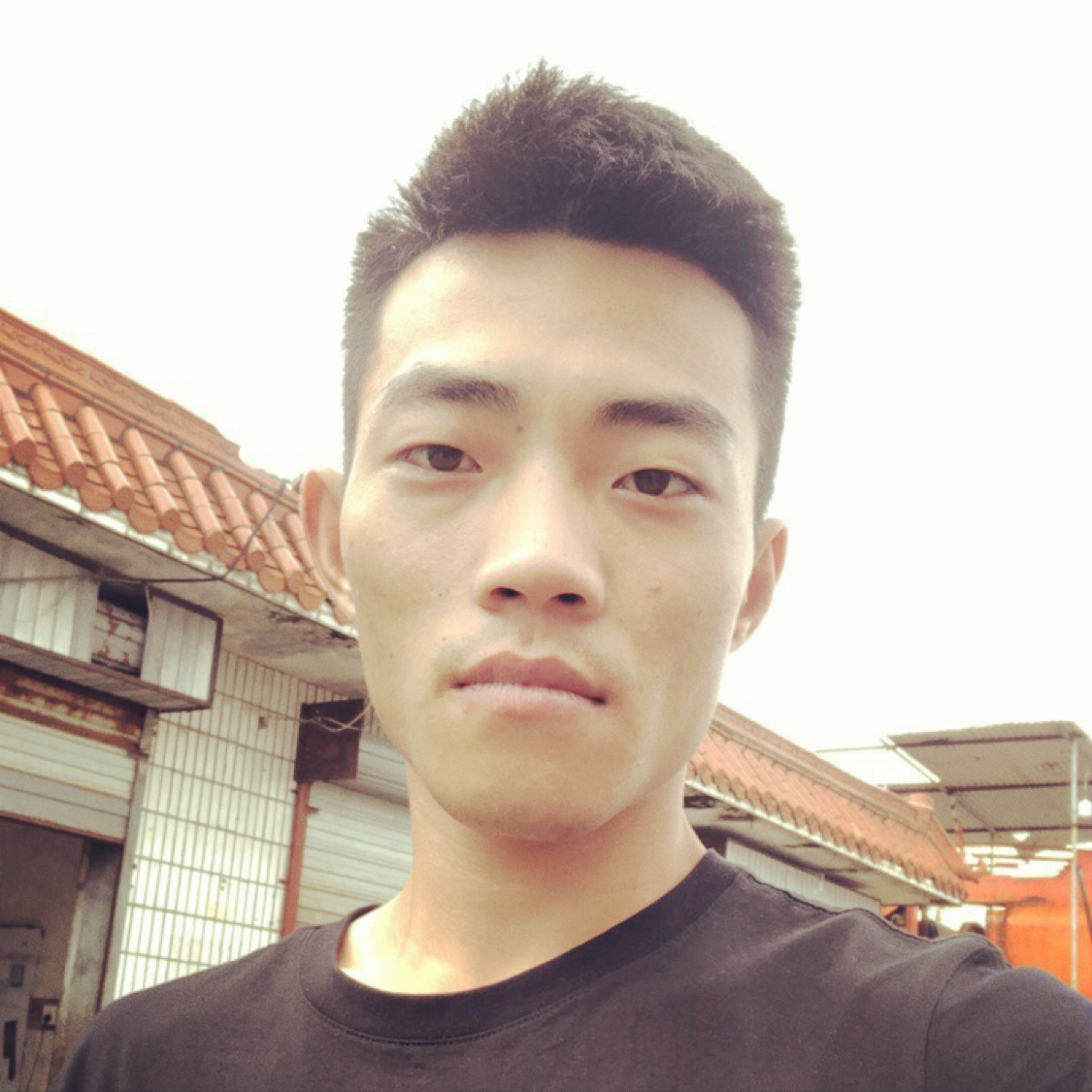 懦弱倾心便当的照片