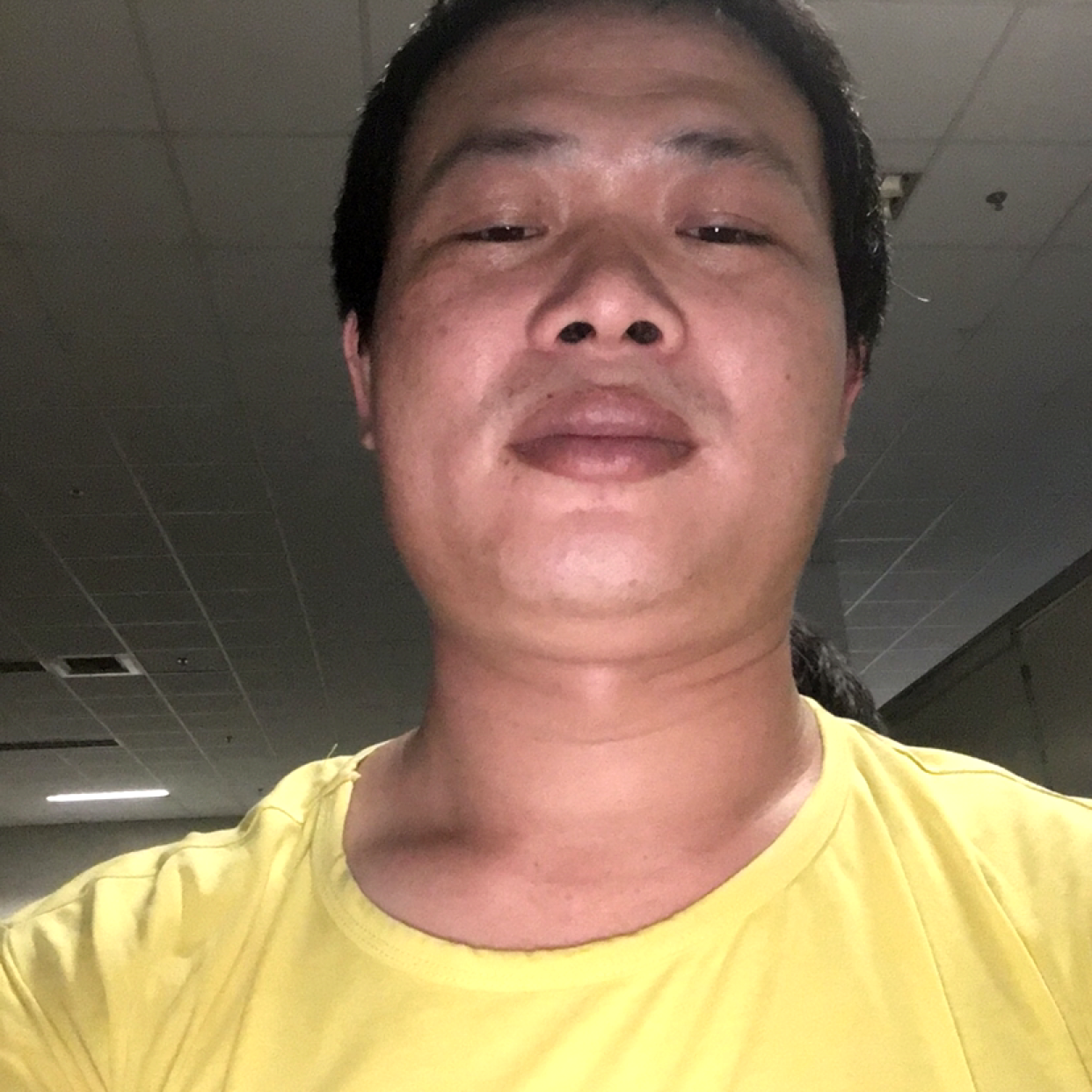 鼠标愉快的照片