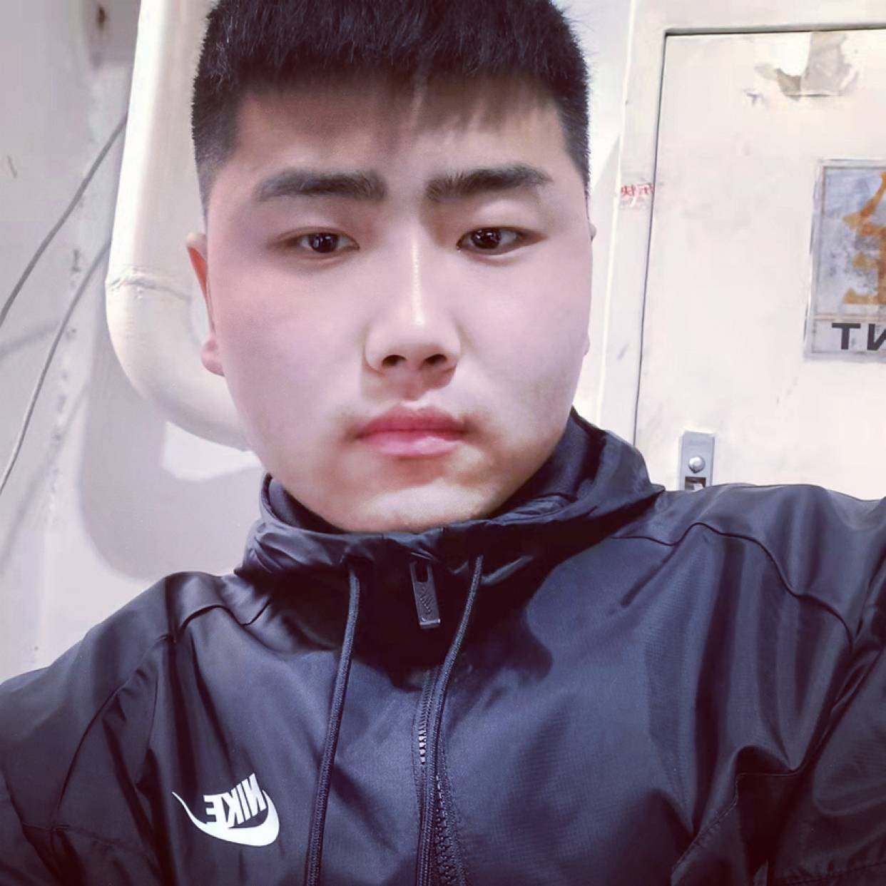 火龙果等于如意的照片
