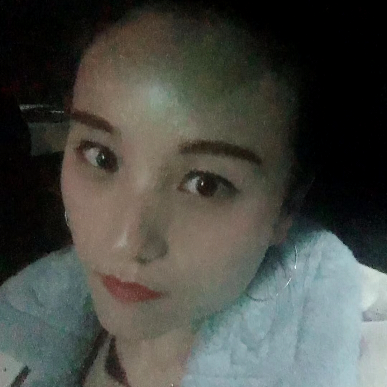 铅笔娇气的照片