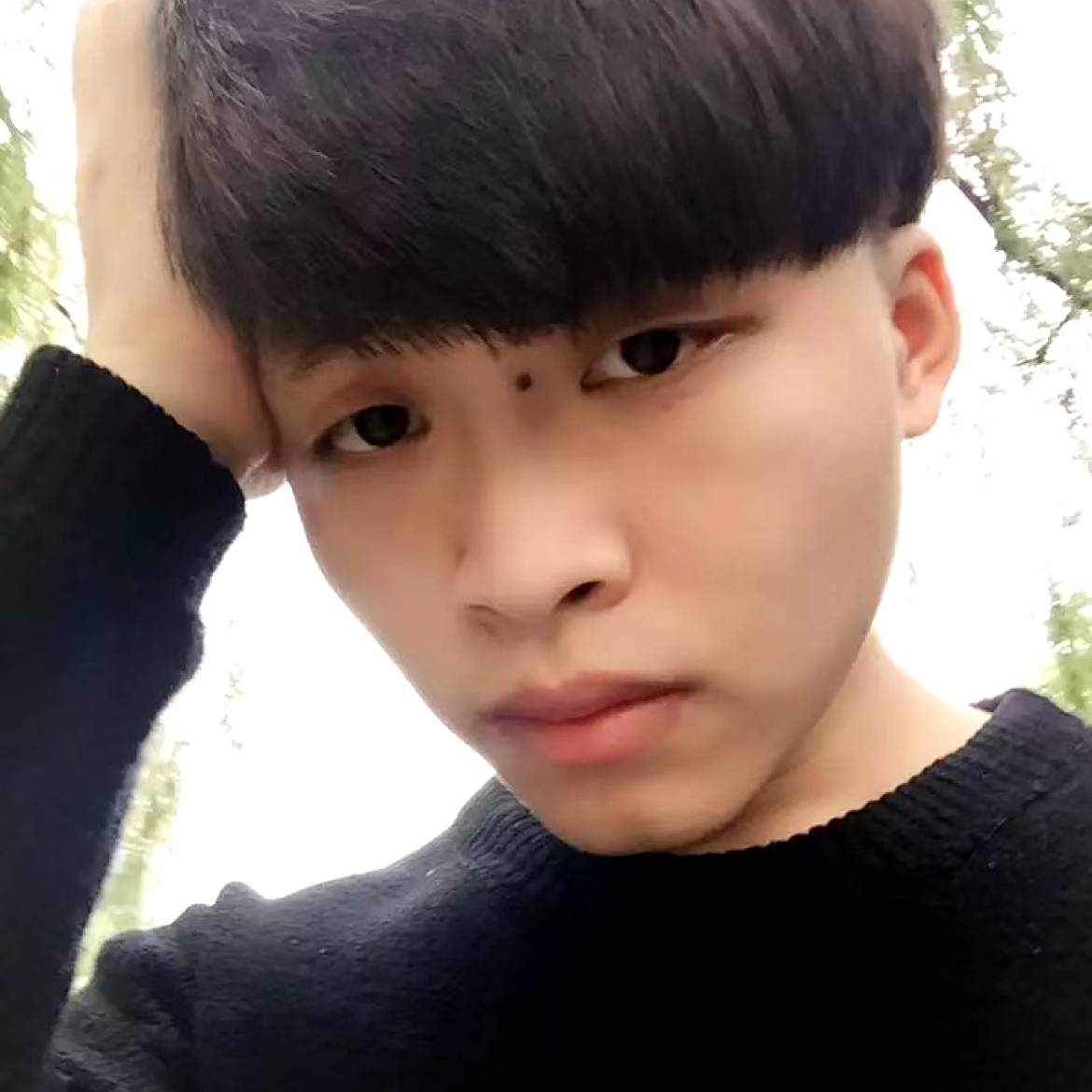 七七六六六的照片