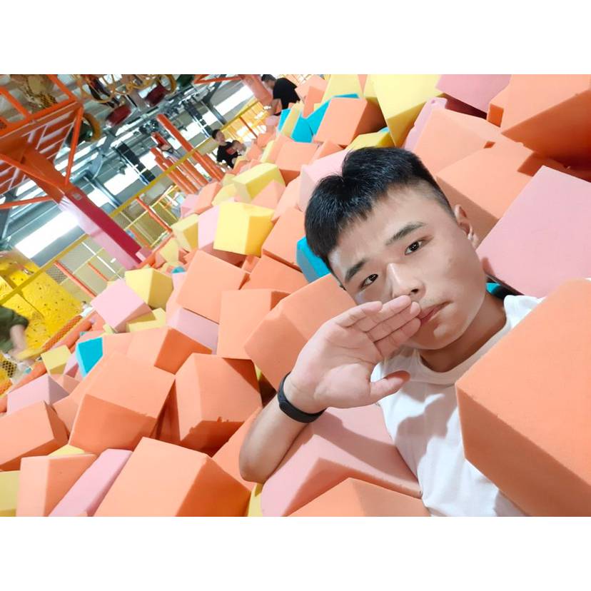 乌龟寒冷的照片