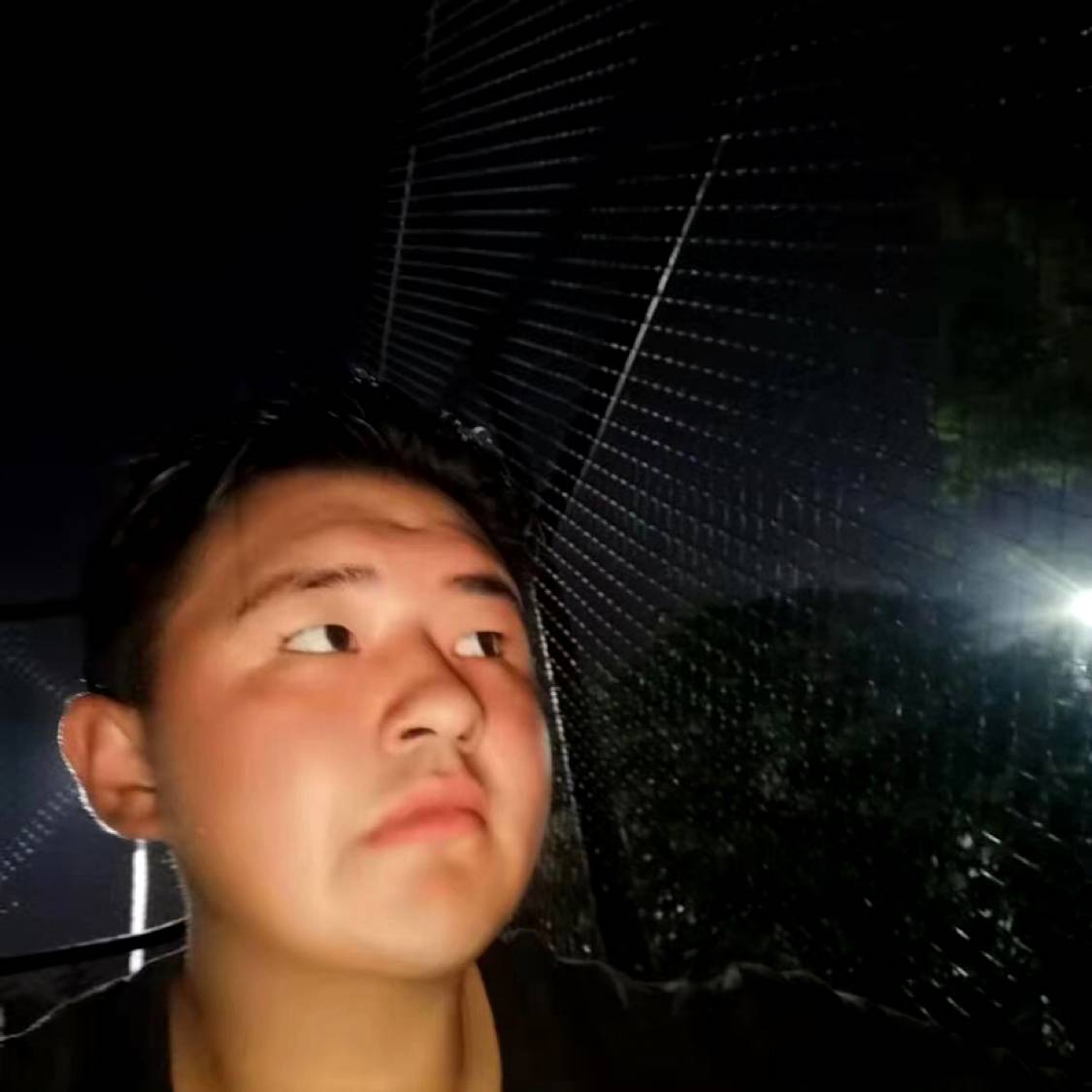 Tiama的照片