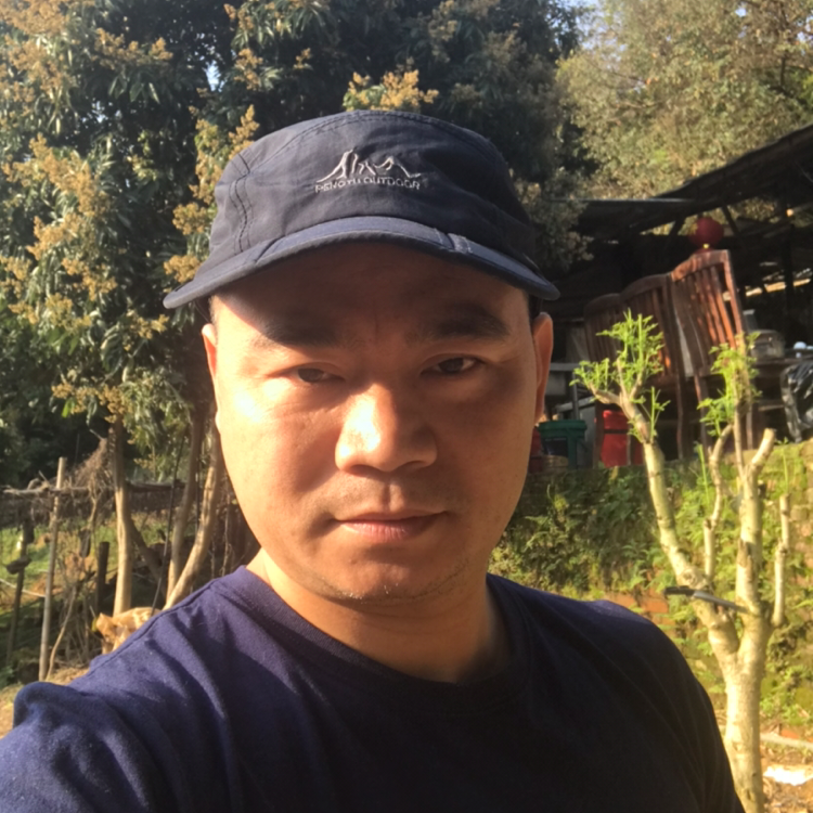 凡所有相的照片