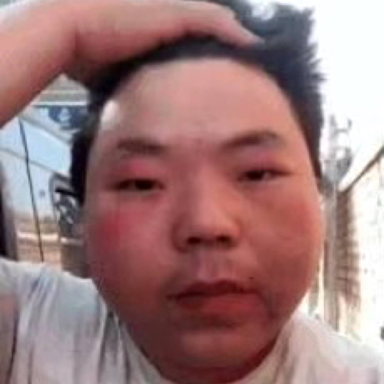 洁净深拥暖阳的照片