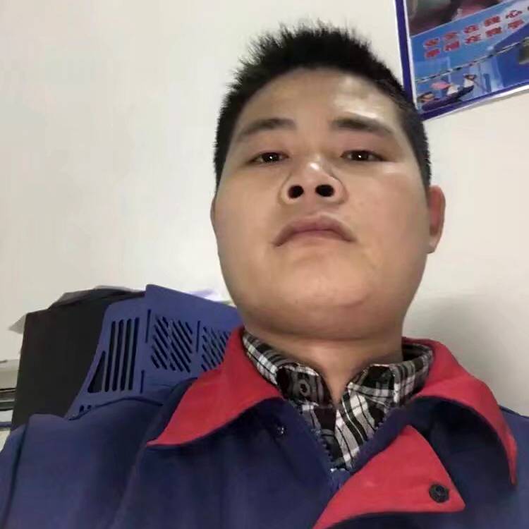 夕阳的执着的照片