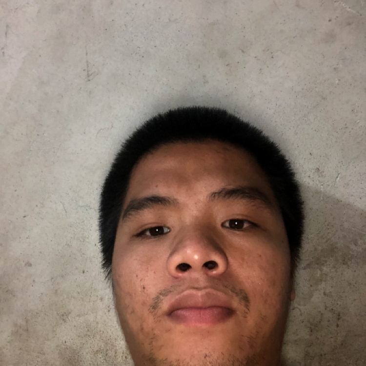 汤米。的照片