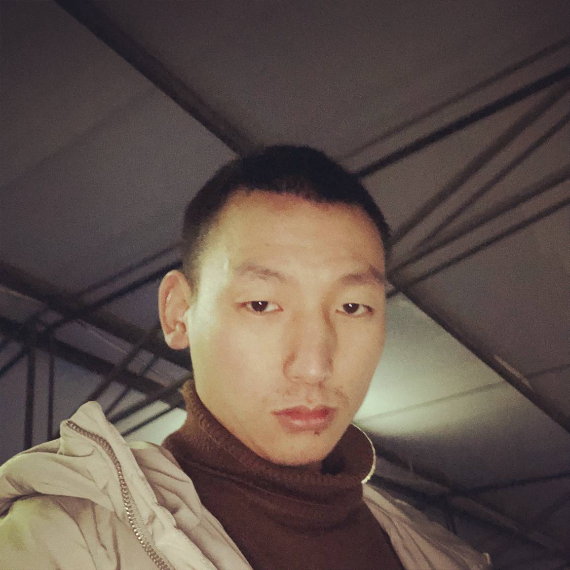 鸡翅凝眸热情的照片