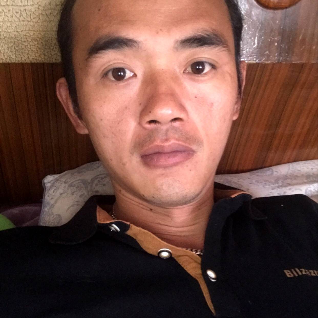 灰狼深拥畅快的照片