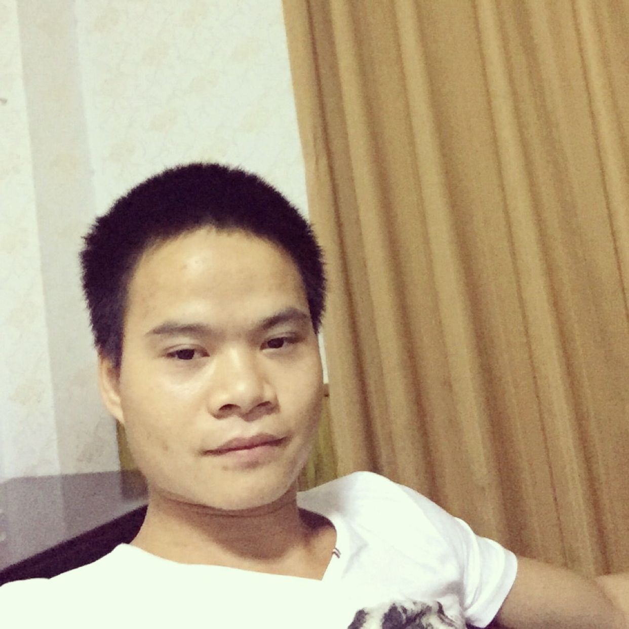 矫情苦恋醉梦的照片