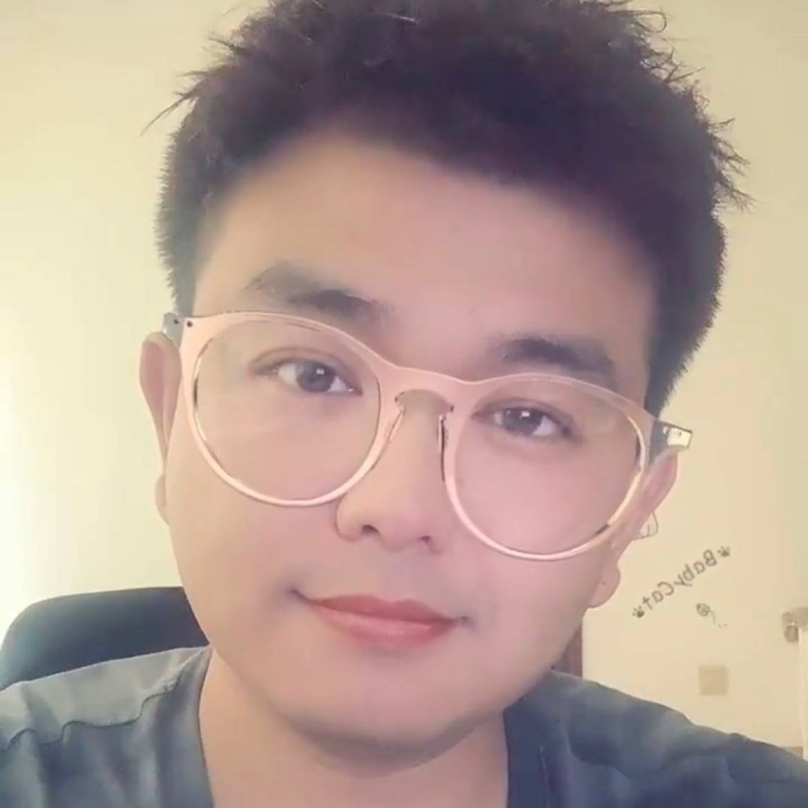 迷路的小熊猫的照片