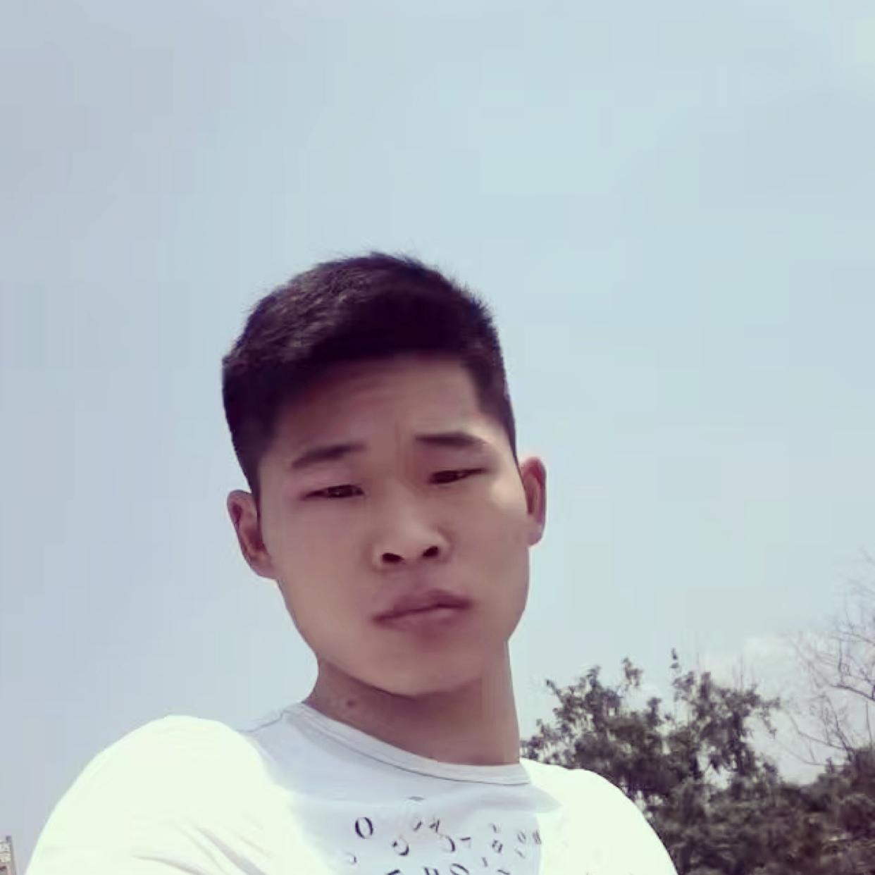 1辈子旳爱春天的照片