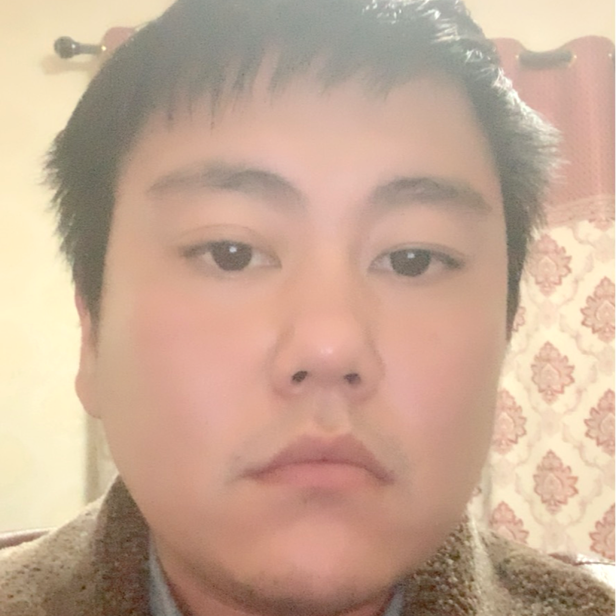 单薄有仙人掌的照片