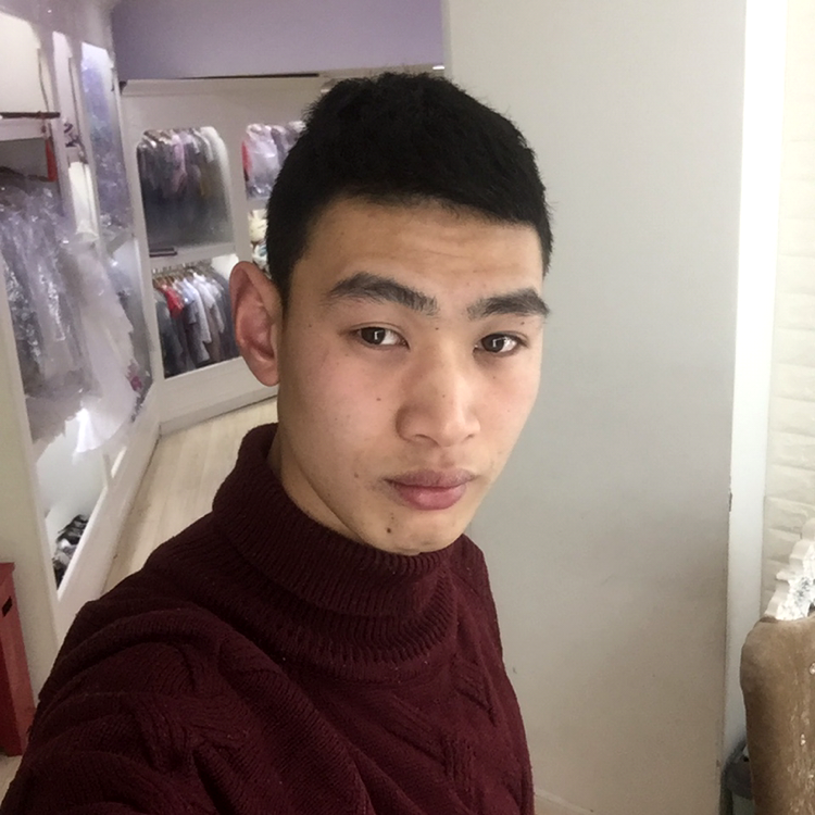 小猫咪爱勤恳的照片