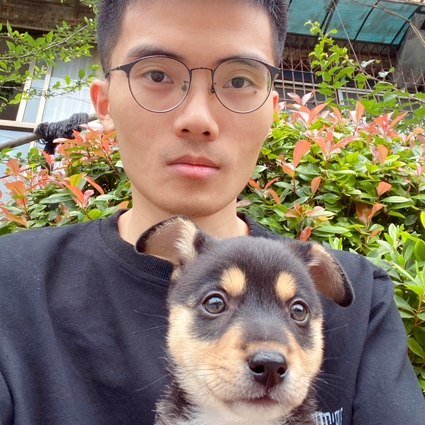 危机踢热狗的照片