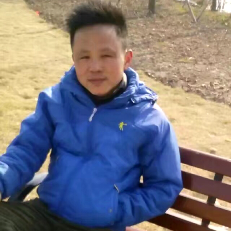 小马的照片