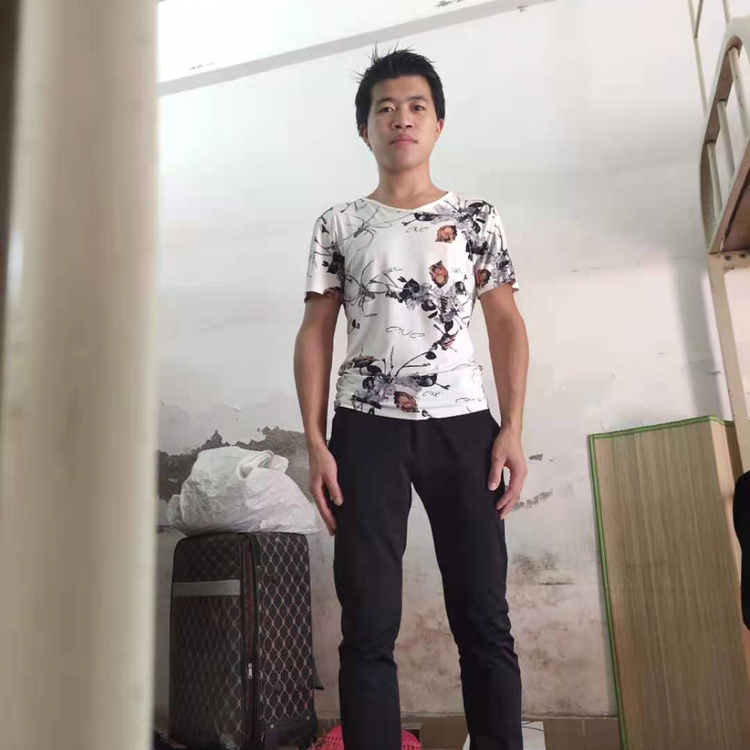 舒适多么枫叶的照片