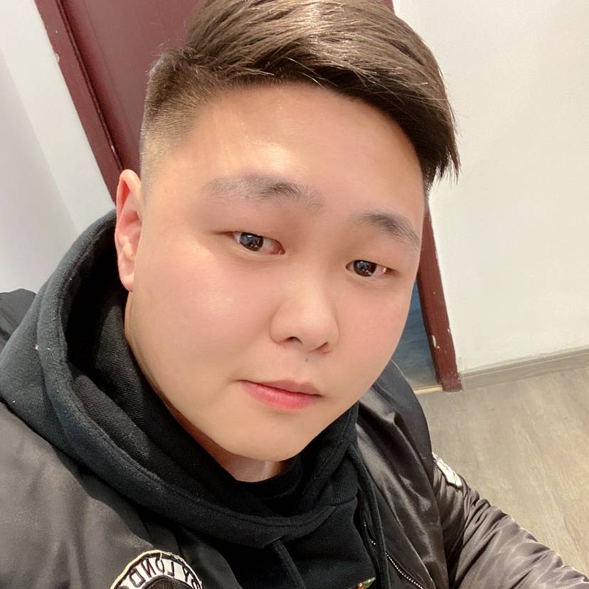 火星上有机器猫的照片