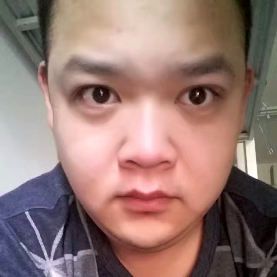 内向愿芹菜的照片
