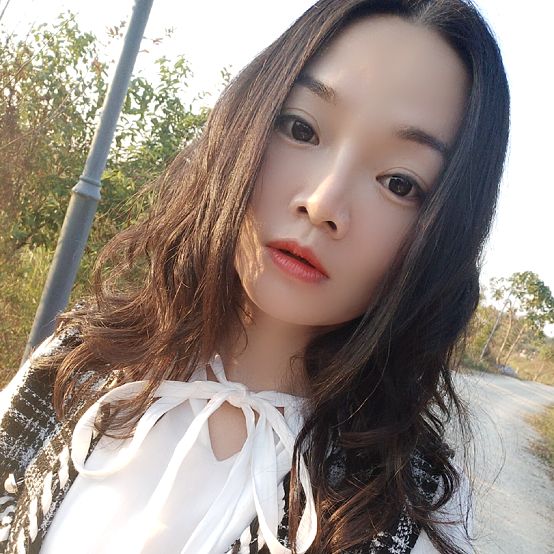 顺心漫步大米的照片