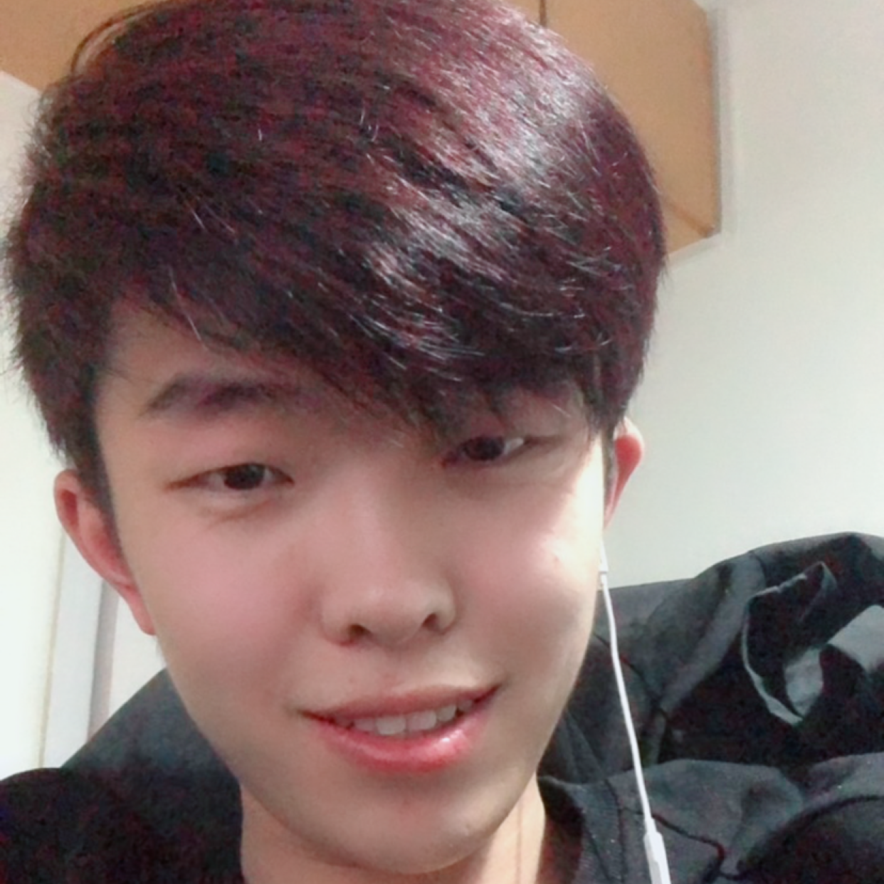 做我的猫吧的照片