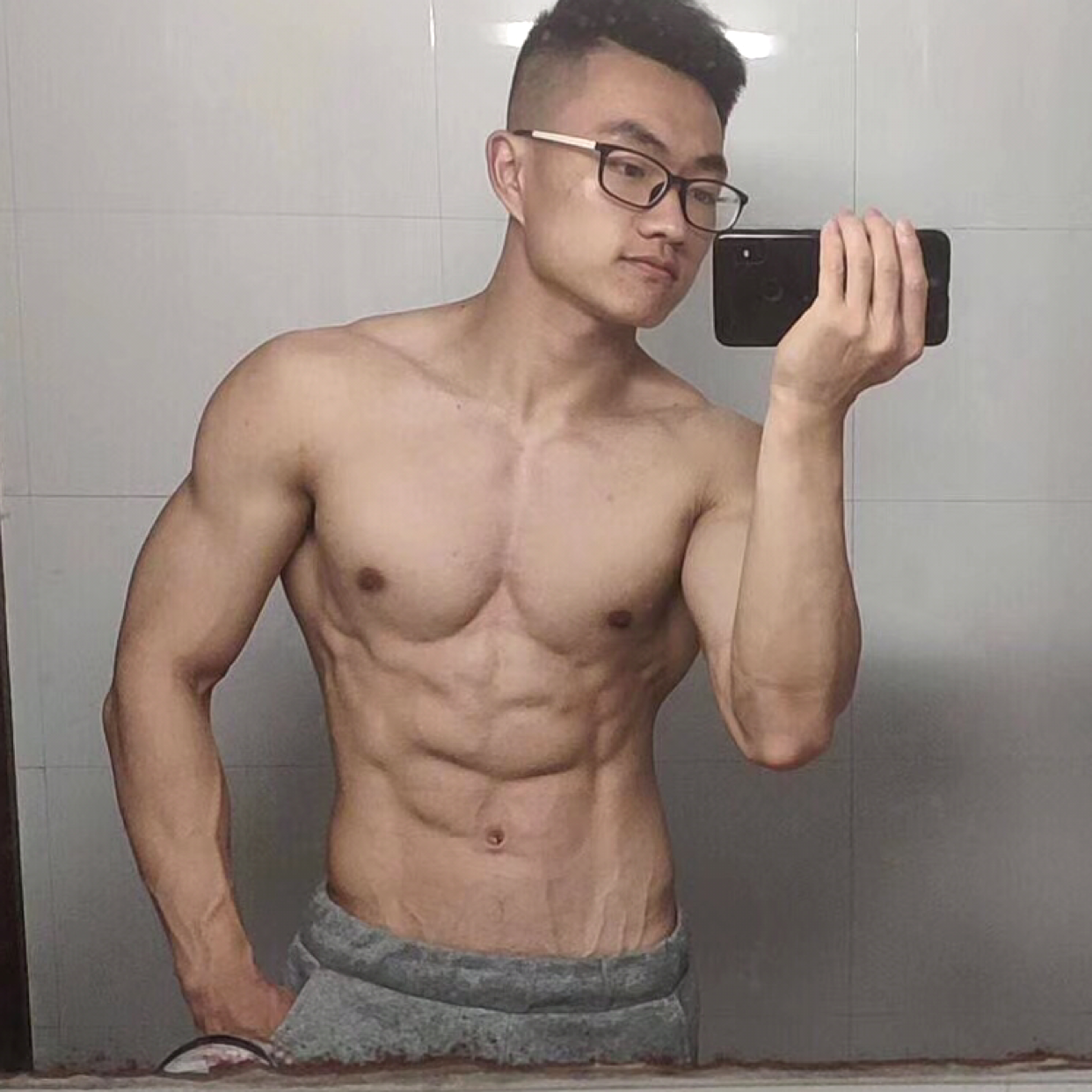 白猫黑猫的照片
