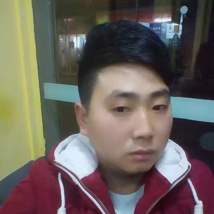 小蚂蚁高高的照片