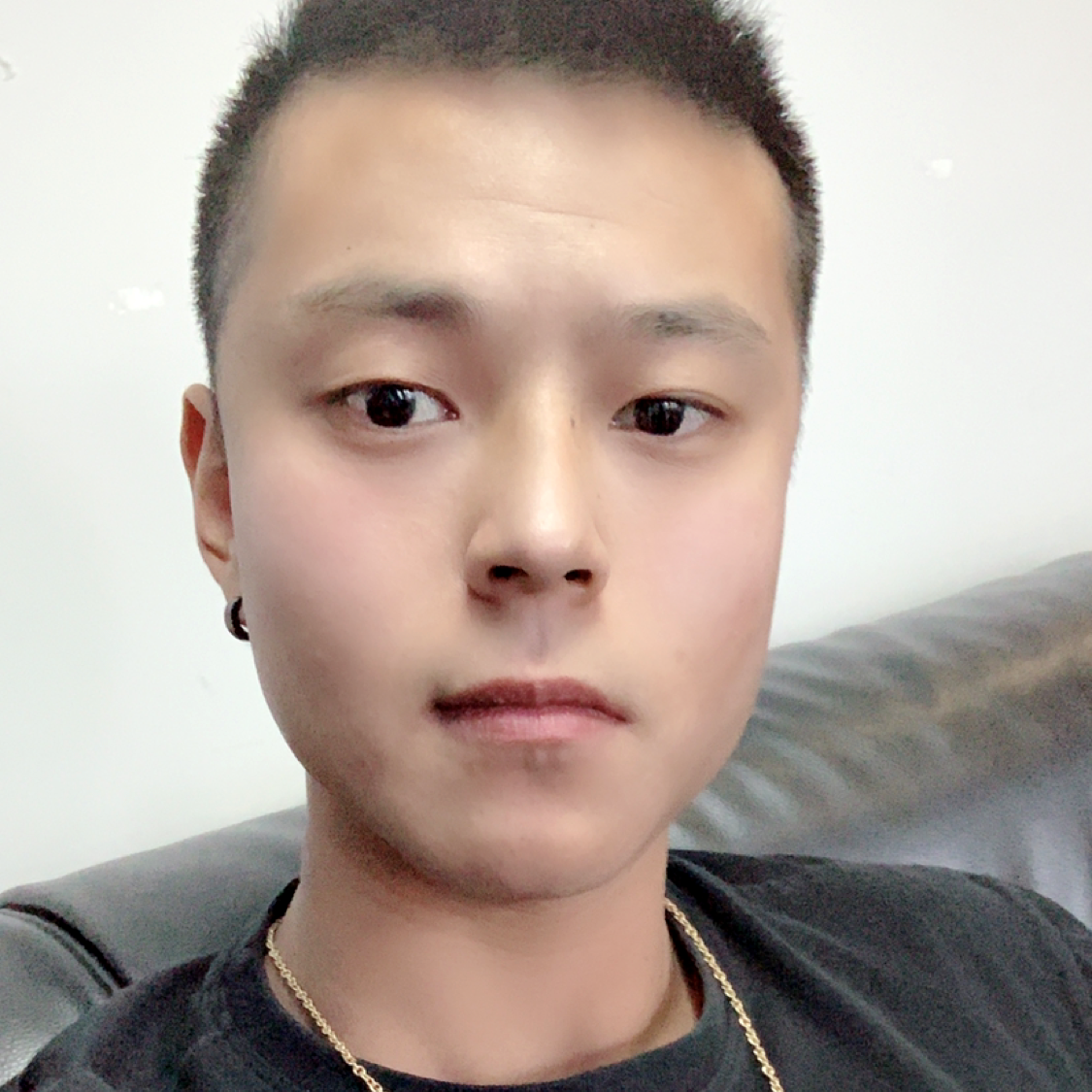 向日葵停止稳重的照片