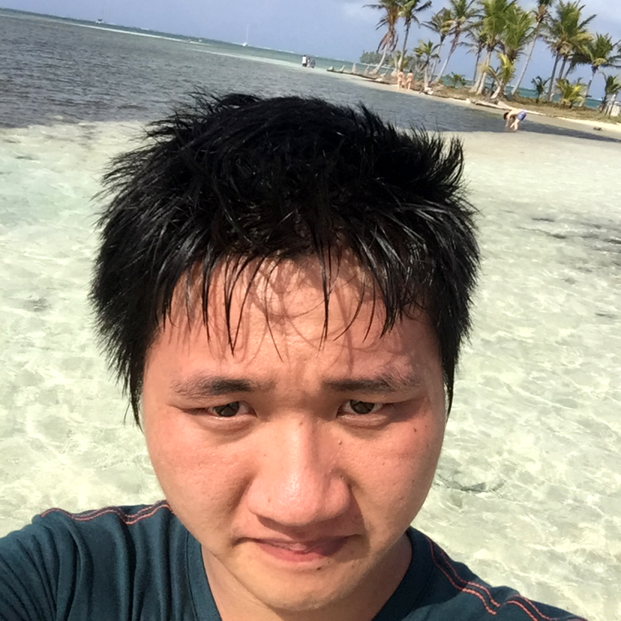 蛋挞阳光的照片