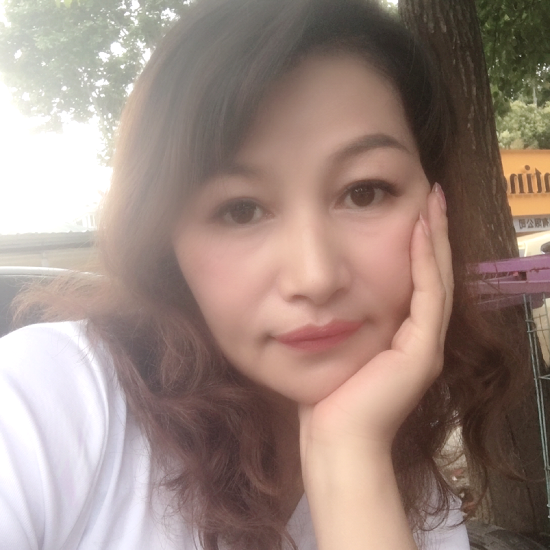 玫瑰深拥野性的照片