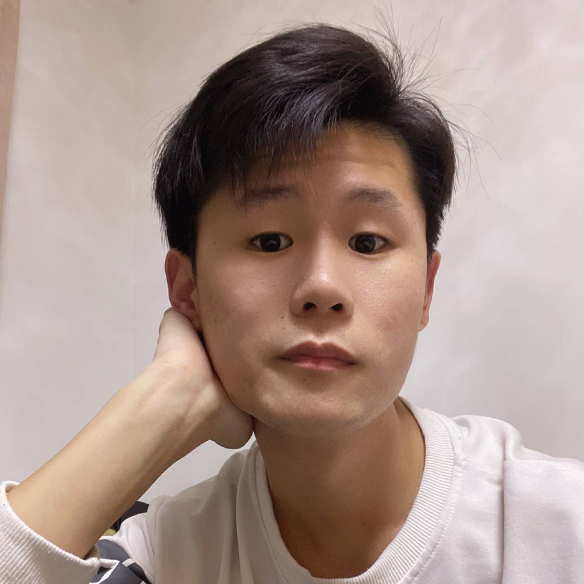 北风柔细的照片